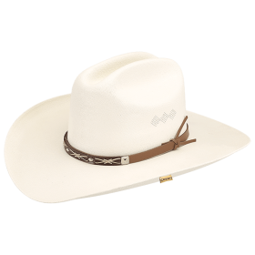 Wayne Paper Western Hat